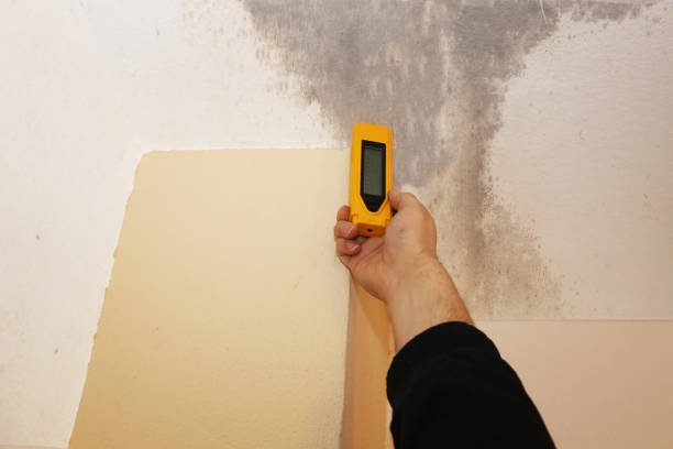 Best Air Quality Testing for Mold Spores  in Madison, SD