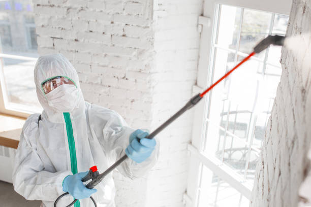 Best Post-Construction Mold Inspection  in Madison, SD