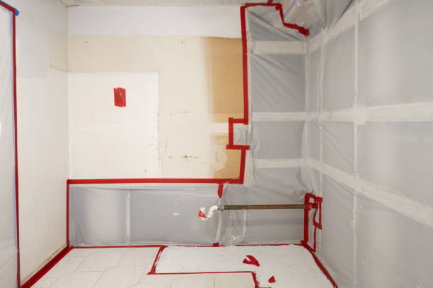Best Forensic Mold Investigation  in Madison, SD