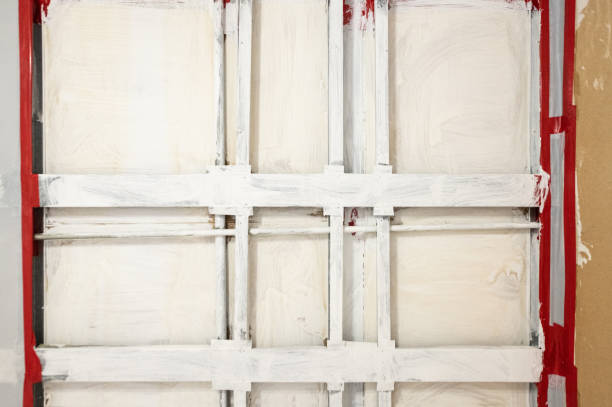 Best Commercial Mold Inspection  in Madison, SD