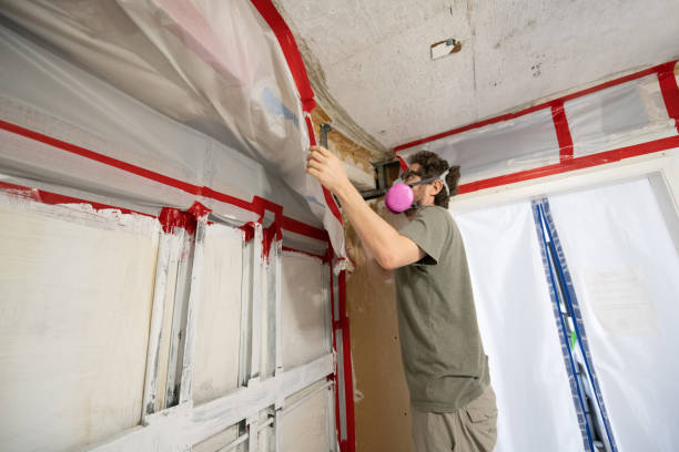 Best Mold-Related Health Consultation  in Madison, SD