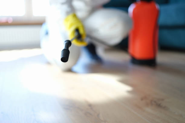 Best Mold Remediation for Vacation Homes  in Madison, SD