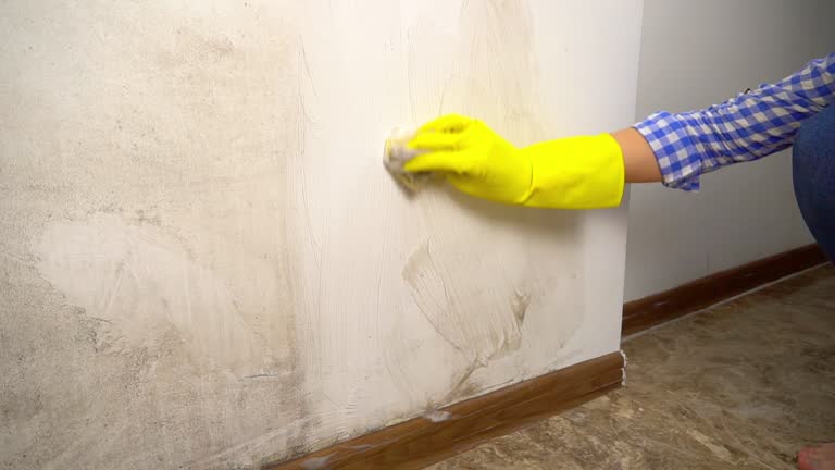 Best Airborne Mold Testing  in Madison, SD